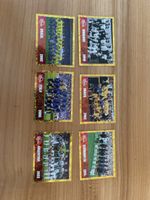 Panini 2026 - 6 Weltmeisterteamfotos
