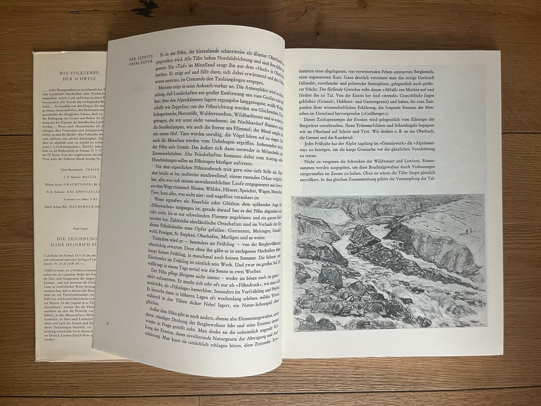 Libri: Das Berner Oberland – Usato da Altdorf UR venduto da luk_2p75 4