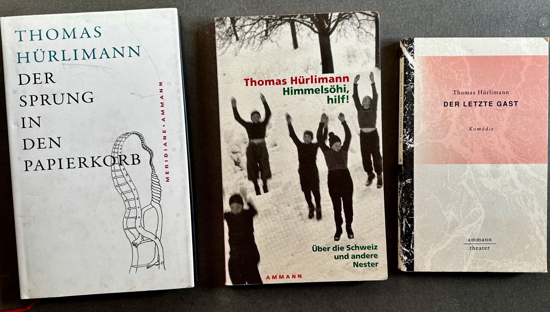 Bücher: 7 x Thomas Hürlimann Bücherpaket – Gebraucht aus Zürich von allp 1