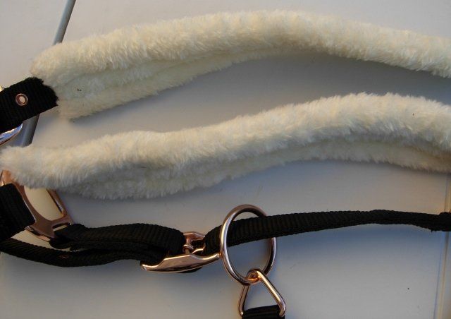 Briglie & Cavezze: Stallhalfter von Showmaster für Warmblut – Nuovo (secondo la descrizione) da Dübendorf venduto da rumpumpel 9