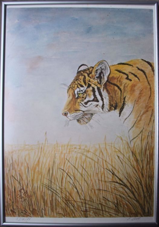 Grafica & Litografie: Tiger - Ernst Boll, Photolithografie – Usato da Hermetschwil-Staff venduto da Starbliggi