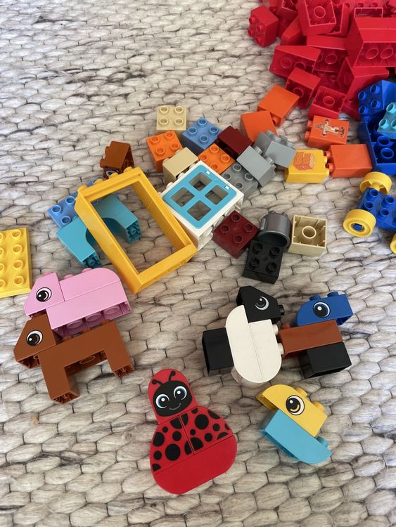 Duplo Spielzeuge: Grosser Duplo Steine Mix - Perfekt für kleine Baumeister! – Gebraucht aus Männedorf von Dorrii85 3