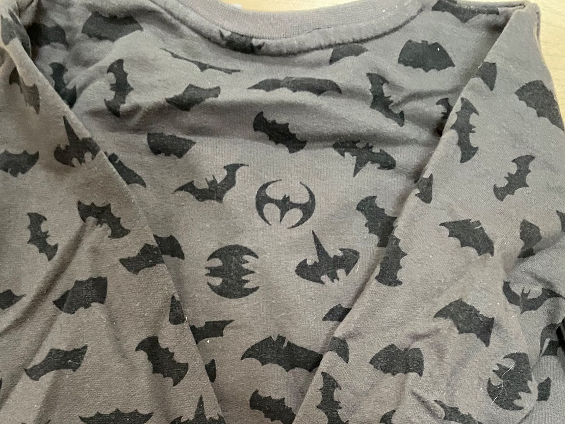 Lotti & Set di vestiti: Batman Pullover und Trainer Hose – Usato da Niederlenz venduto da JasminaK01 2