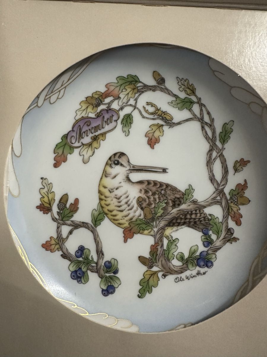 Hutschenreuther Piatti: Hutschenreuther Teller November Ole Winther Design – Usato da Deitingen venduto da Himhip 1