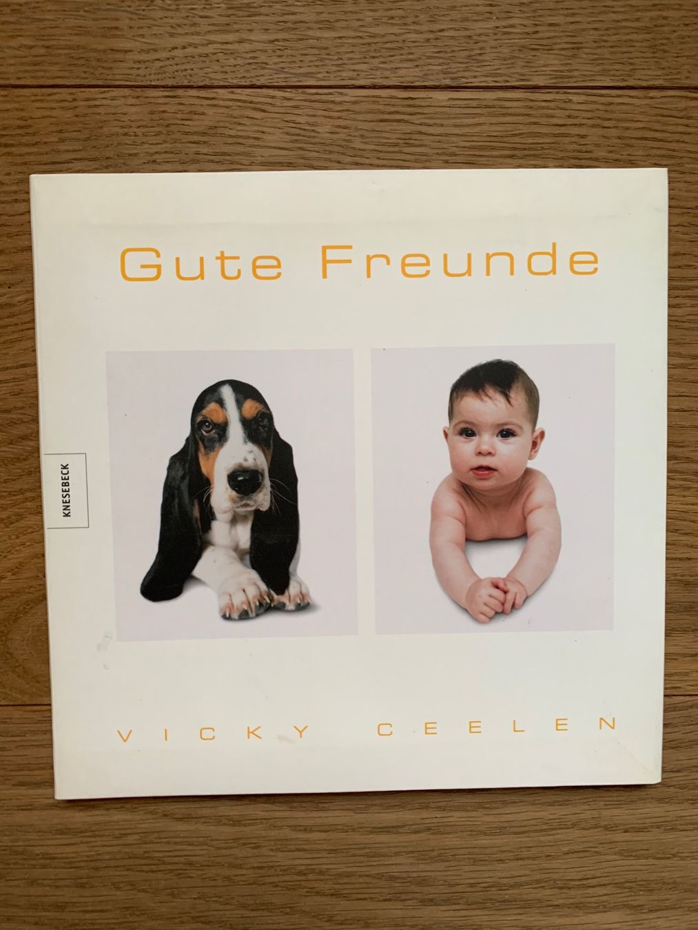 Libri: Fotobildband "Gute Freunde" Vicky Ceelen – Usato da Flaach venduto da Rosatipi