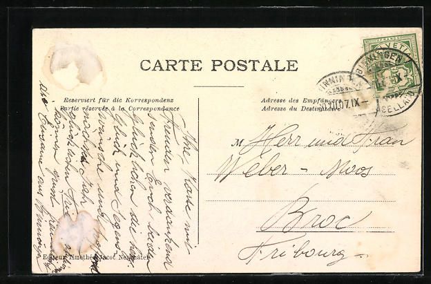Cartoline postali: AK Basel, Ortsansicht, Blumen – Usato da Berlin venduto da bartko-reher 1