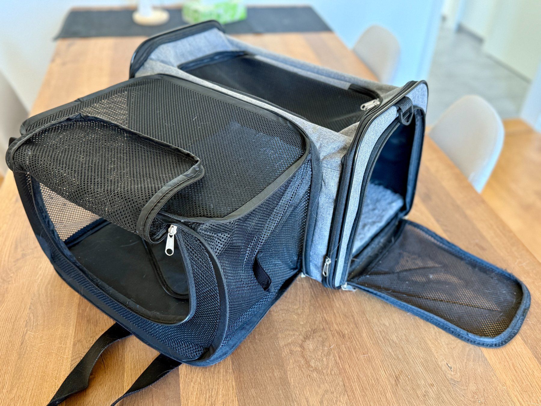 Cucce & Letti: Tragtasche Haustier – Usato da Baden venduto da ele_loli