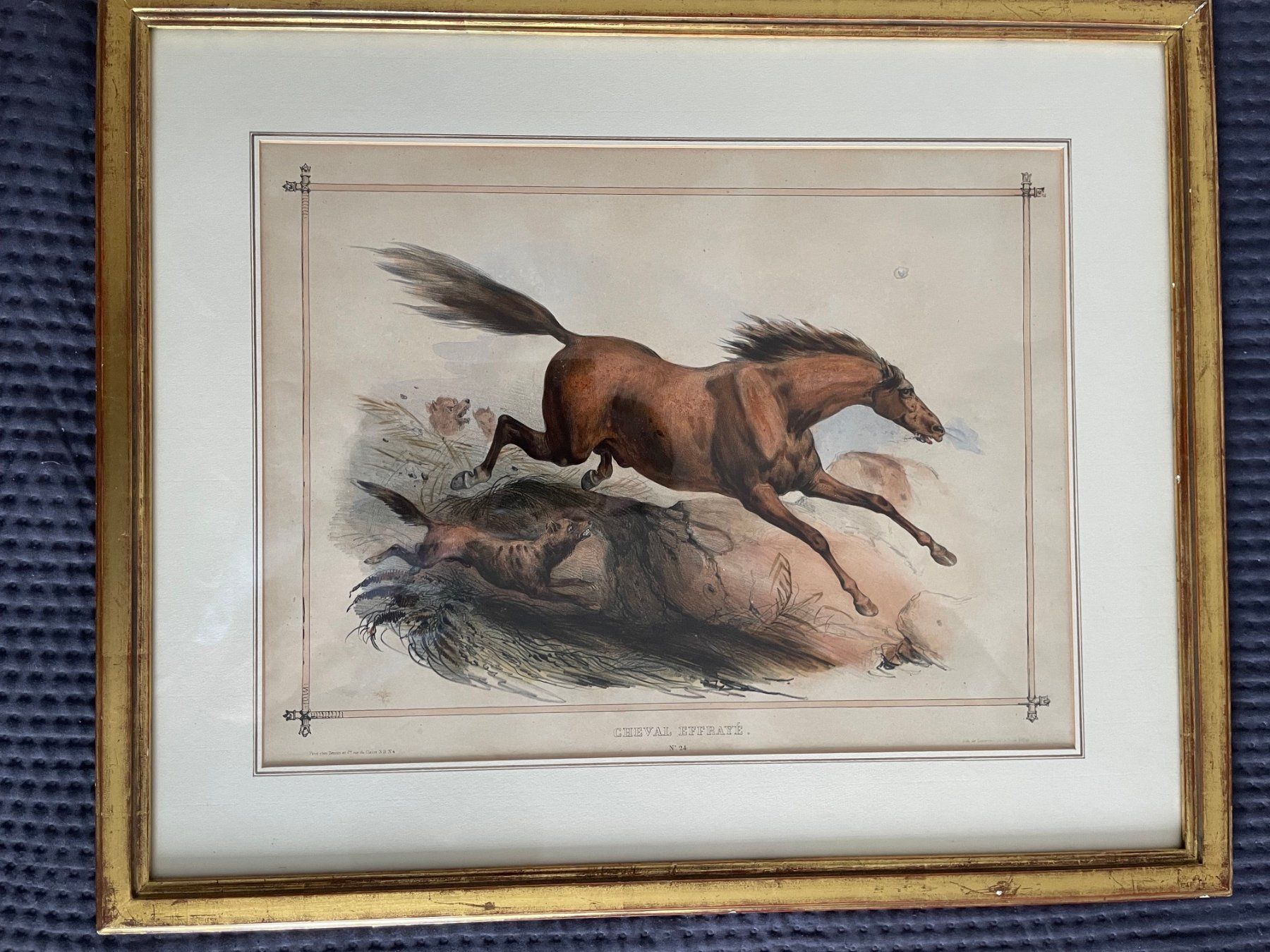 Incisioni: Cheval effrayé - Druckgrafik, Stich, Lithografie – Usato da Bern venduto da curtius01