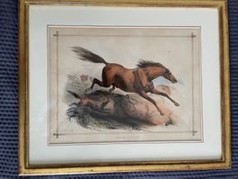Cheval effrayé - Druckgrafik, Stich, Lithografie