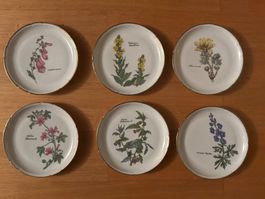 6 Wandteller Dm 20cm mit Blumenmotiv Langenthal sehr selten