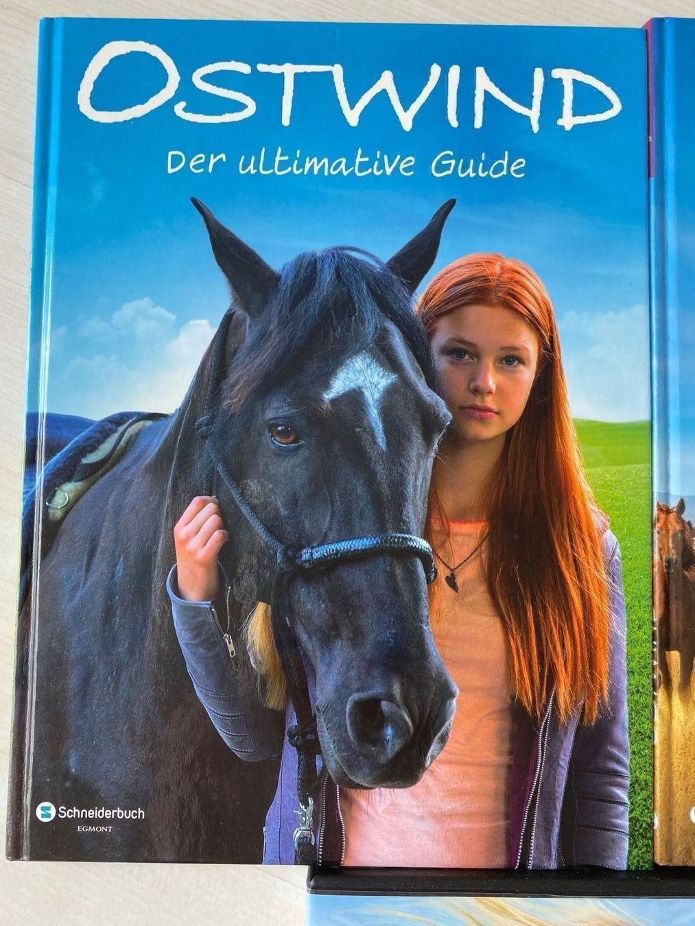 Libri: Pferd Ostwind 2 Bücher und DVD – Usato da Herzogenbuchsee venduto da ameise02 1
