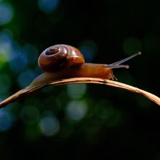 Profile image of Mattttteo