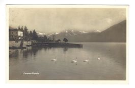 AK Locarno Muralto Ticino