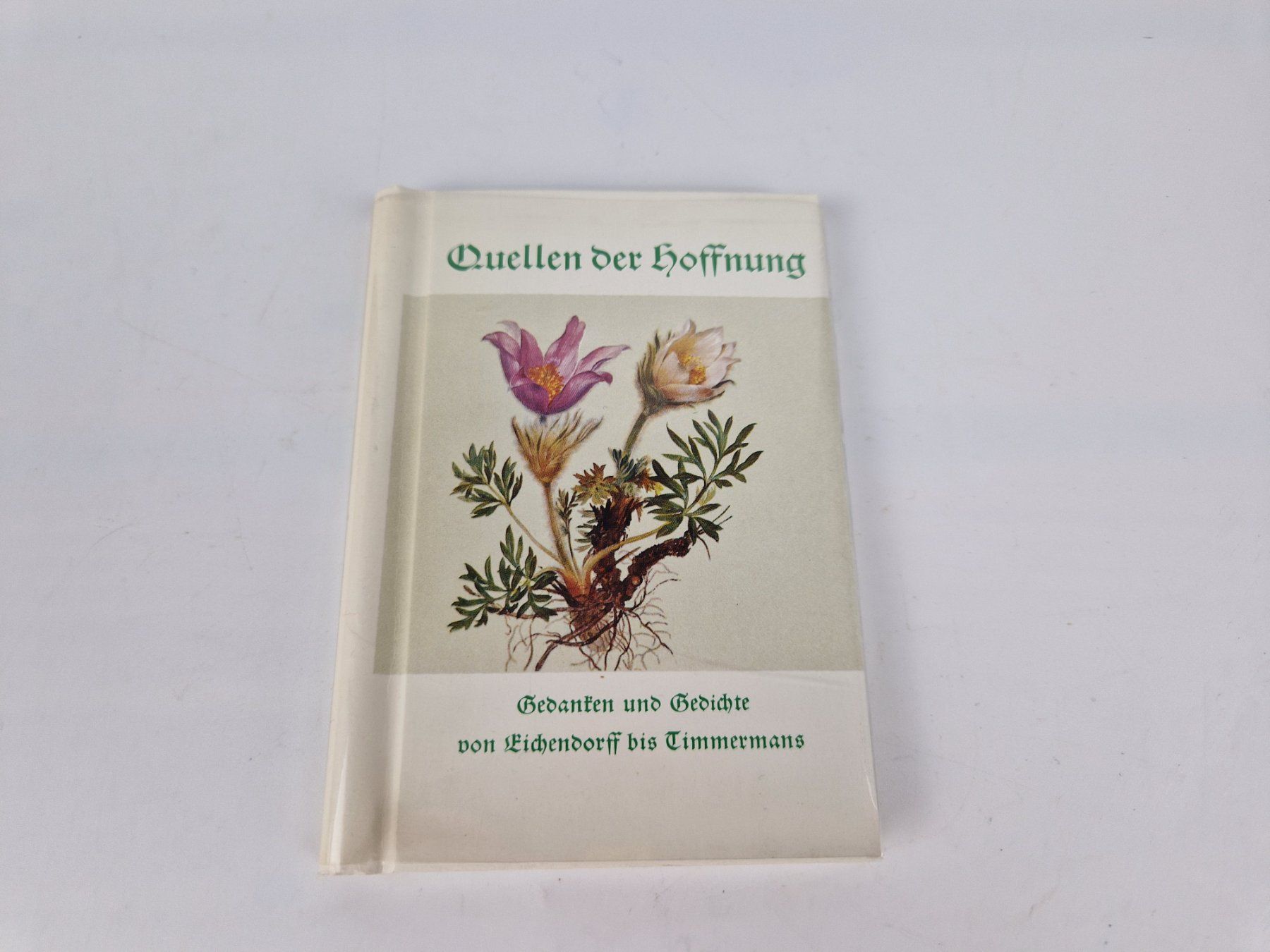 Libri: "Quellen der Hoffnung" – Usato da Muhen venduto da Restwert_Muhen