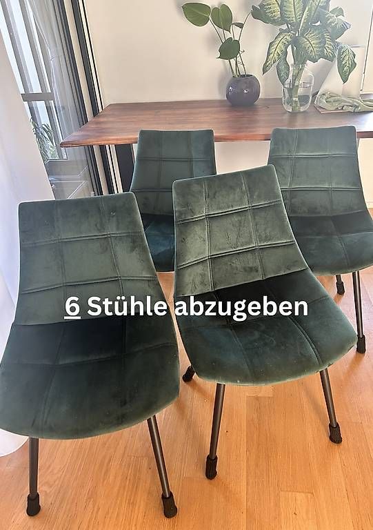 Stühle: 6 Stühle Samt, dunkelgrün  – Gebraucht aus Allschwil von ann_2t6s