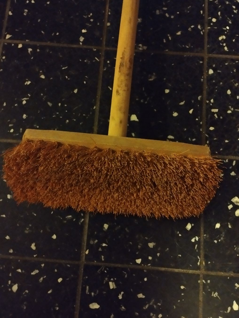 Altro per la casa: Bürste, Naturbürste, mit Stab – Nuovo (secondo la descrizione) da Ostermundigen venduto da Dinge1 4
