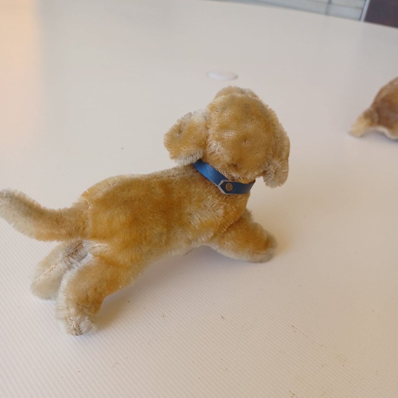 Steiff Giocattoli: Steiff kleiner Hund 10 cm gross – Usato da Abtwil SG venduto da luupsy 1