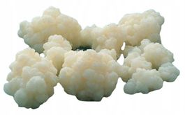 Kefir-Pilze – probiotisch & gesund + GRATIS Wasserkefir