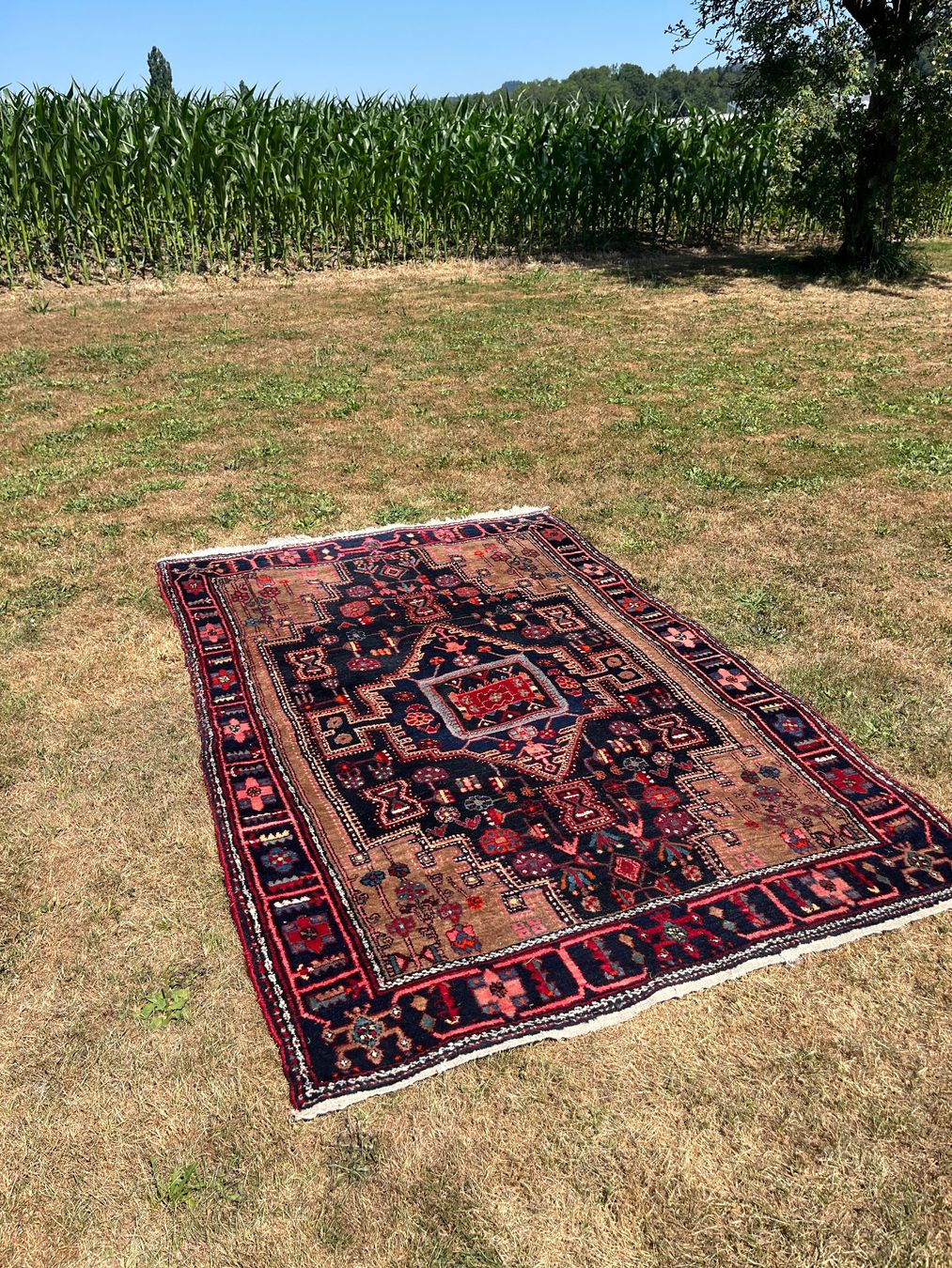 Tappeti: Orient Teppich Handgeknüpft Nahavand Iran – Usato da Allmendingen b. BE venduto da juair 7
