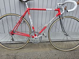 Rennvelo Gios RH 55cm