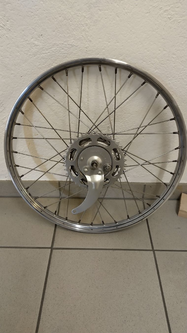 Pneumatici & Ruote complete: Sachs Hinterrad 19 Zoll – Usato da Adliswil venduto da freigeister