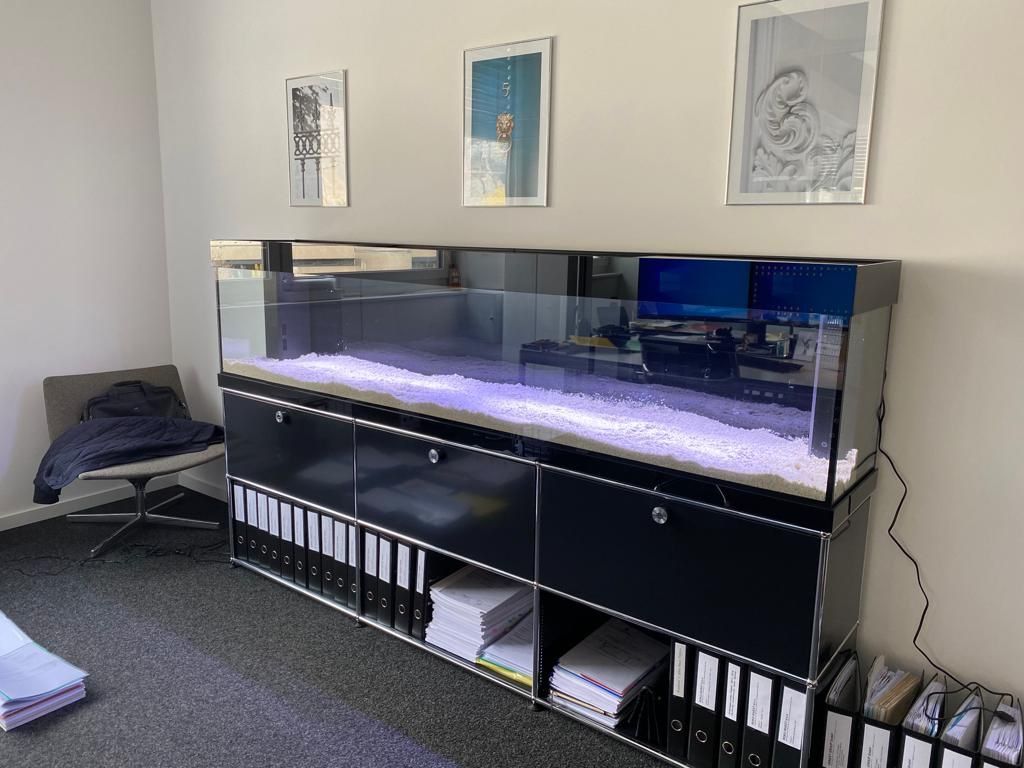 Acquari: Aquarium 220x40x40 – Nuovo (secondo la descrizione) da Berikon venduto da fischundart