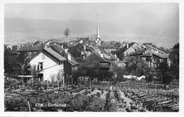 Cortaillod (NE) Dorfansicht mit Weinbergen