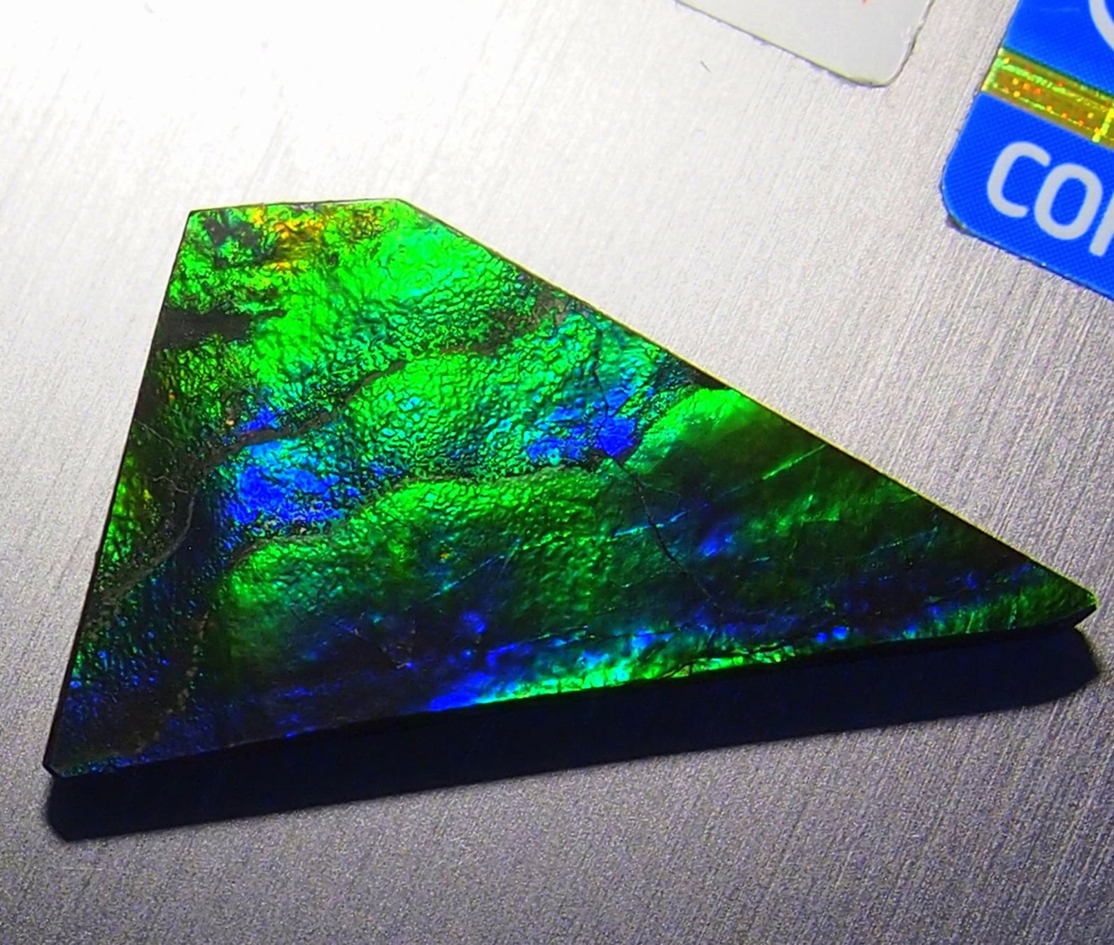Fossili: 17  Karat Natural funky GEM Ammolite AAA! – Nuovo e nell'imballaggio originale da Reinach BL venduto da Marblue 2