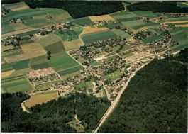 Riedholz SO Flugaufnahme ,  Nr.D234100-003 ,  ca.1960