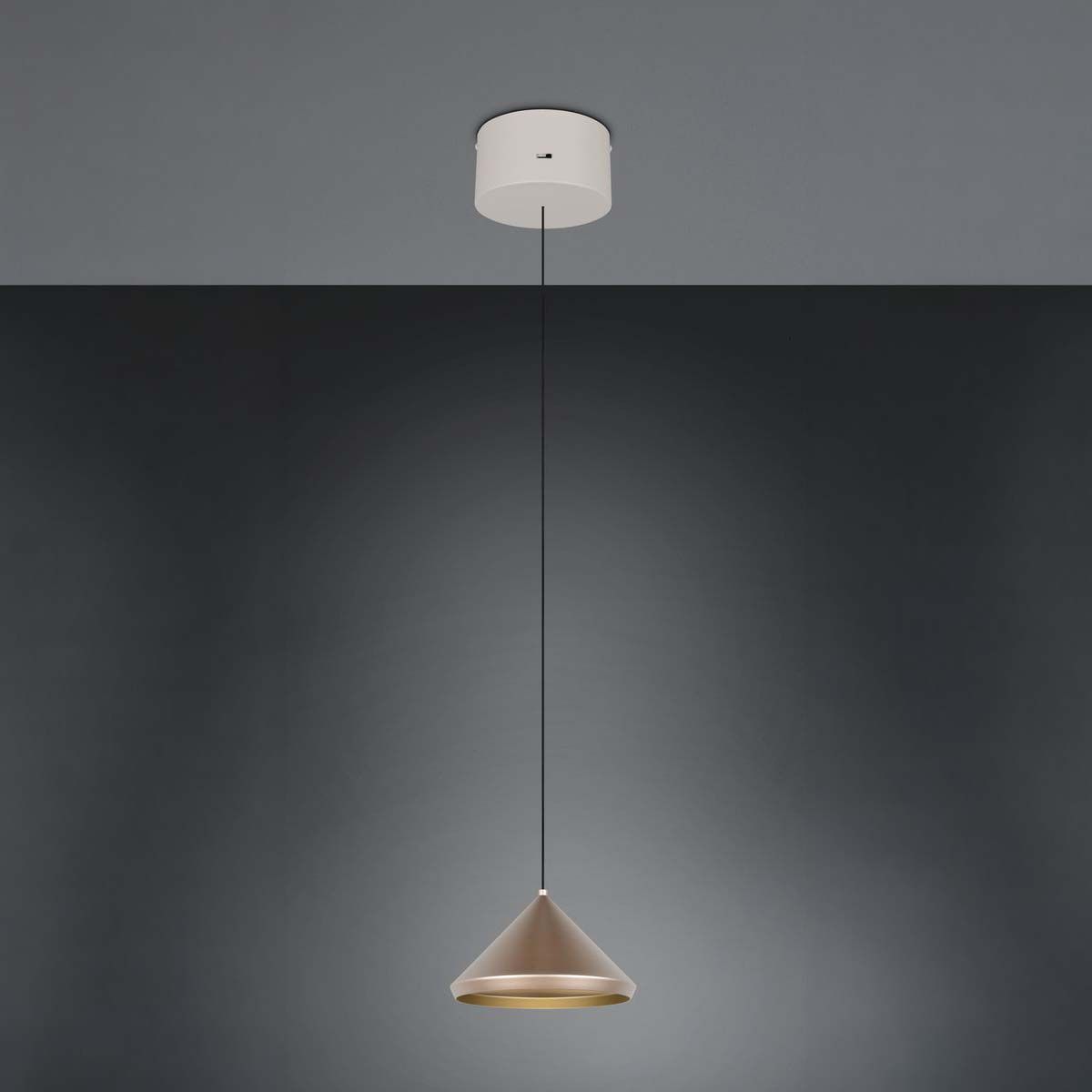 Lampadari & plafoniere: LED Pendelleuchte,  Coffee, CCT, 18 cm Ø – Nuovo (secondo la descrizione) da Kreuzlingen venduto da Smart-Light 1