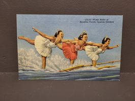 Vintage Postkarte: Florida Cypress Gardens