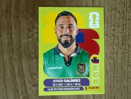 Panini FIFA World Cup 2026 Sticker Hernán Galíndez ECU 2