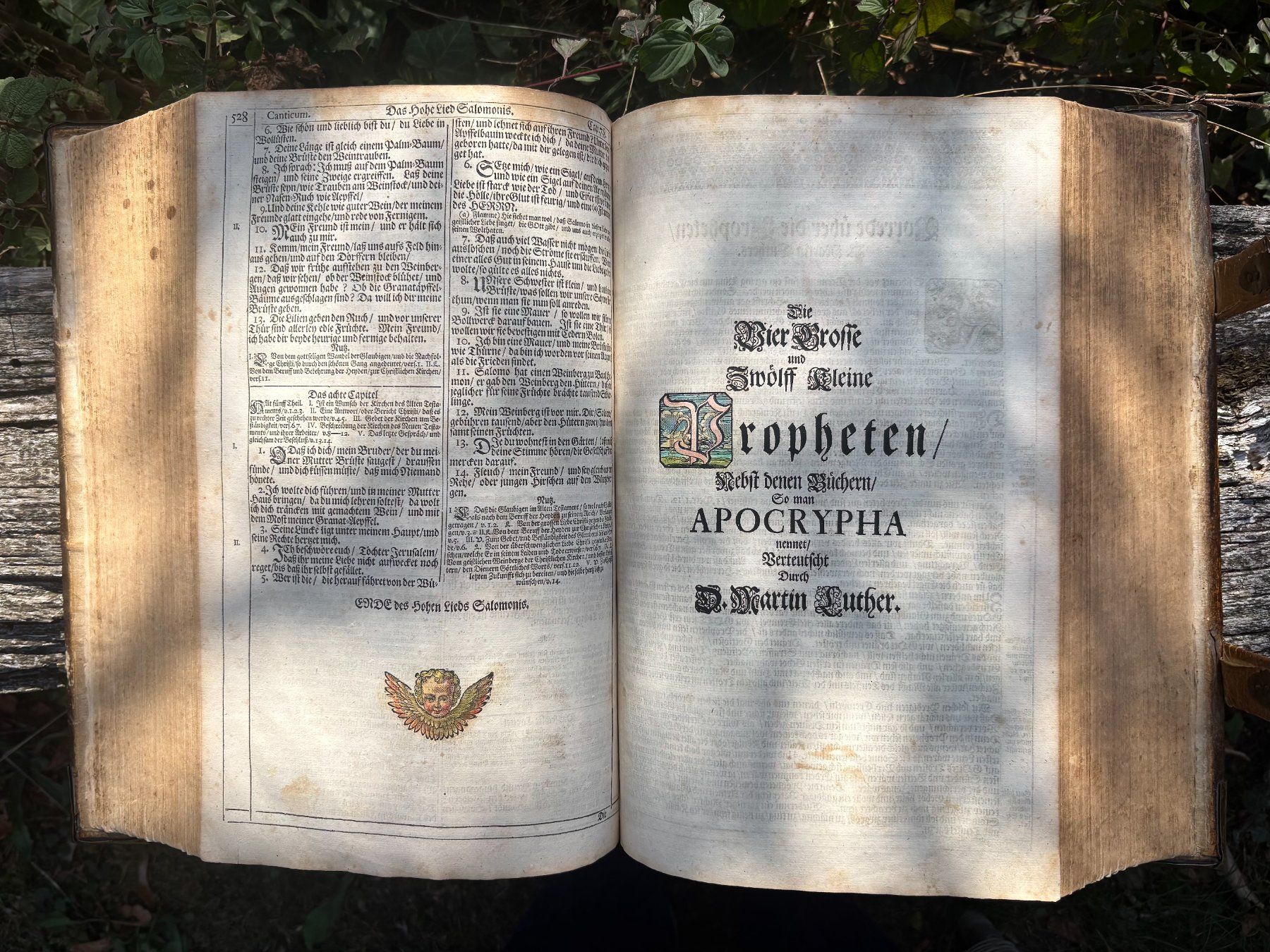 Bücher: Endterische Holzschnitt-Bibel – Gebraucht aus Stüsslingen von Ideur1 6