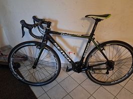 Sensa Rennrad zu verkaufen