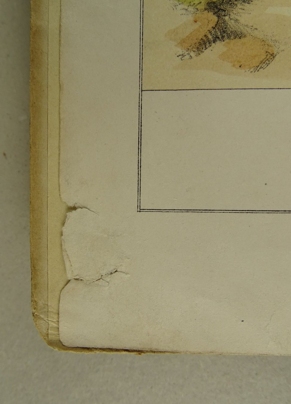 Bücher: SPENDEN DER LIEBE, JUGENDBUCH 1850, LITHOS – Gebraucht aus Grüningen von Kartensammler 2