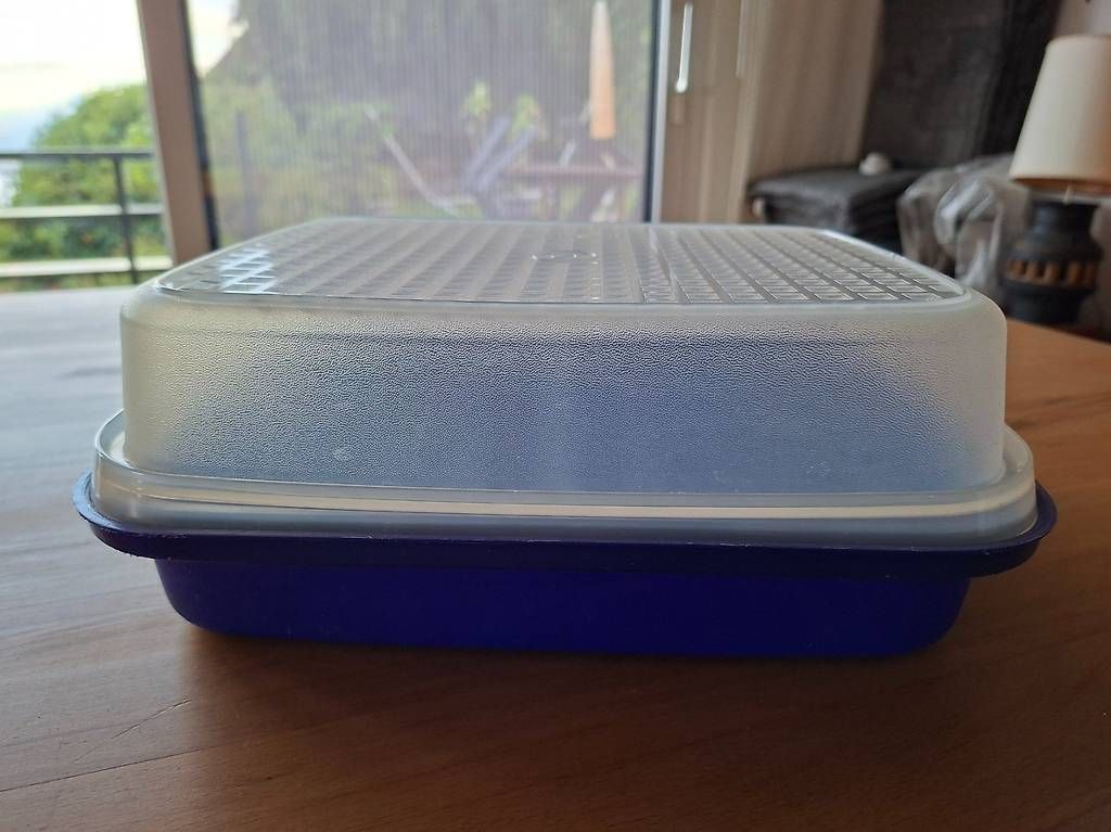 Tupperware Contenitori & Simili: Tupperware Marinierbehälter - Boîte à marinade Tupperware – Usato da Le Mont Pelerin venduto da riri230 1