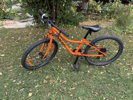 Naloo Velo, frisch vom Service, 24 Zoll