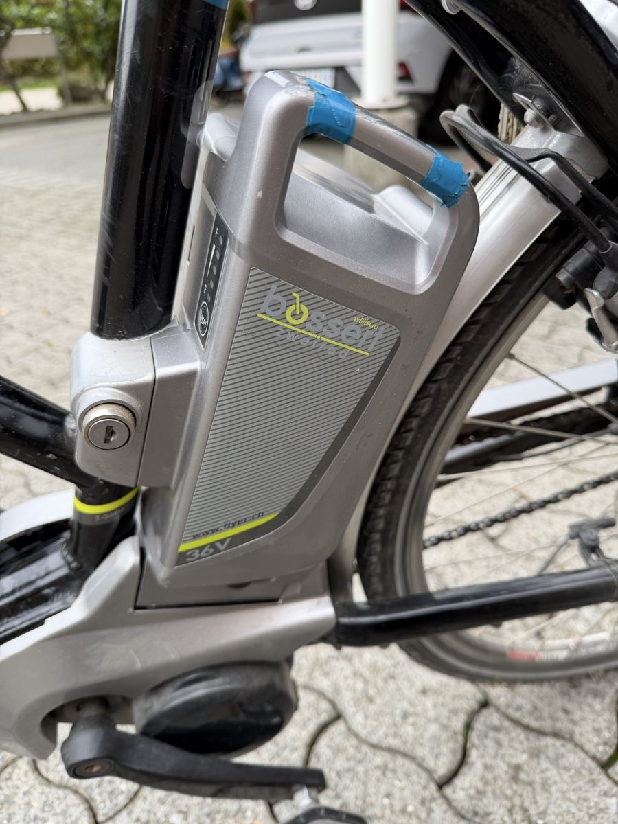 Flyer Biciclette: E-Bike Flyer – Usato da Willisau venduto da Pirminrand 5