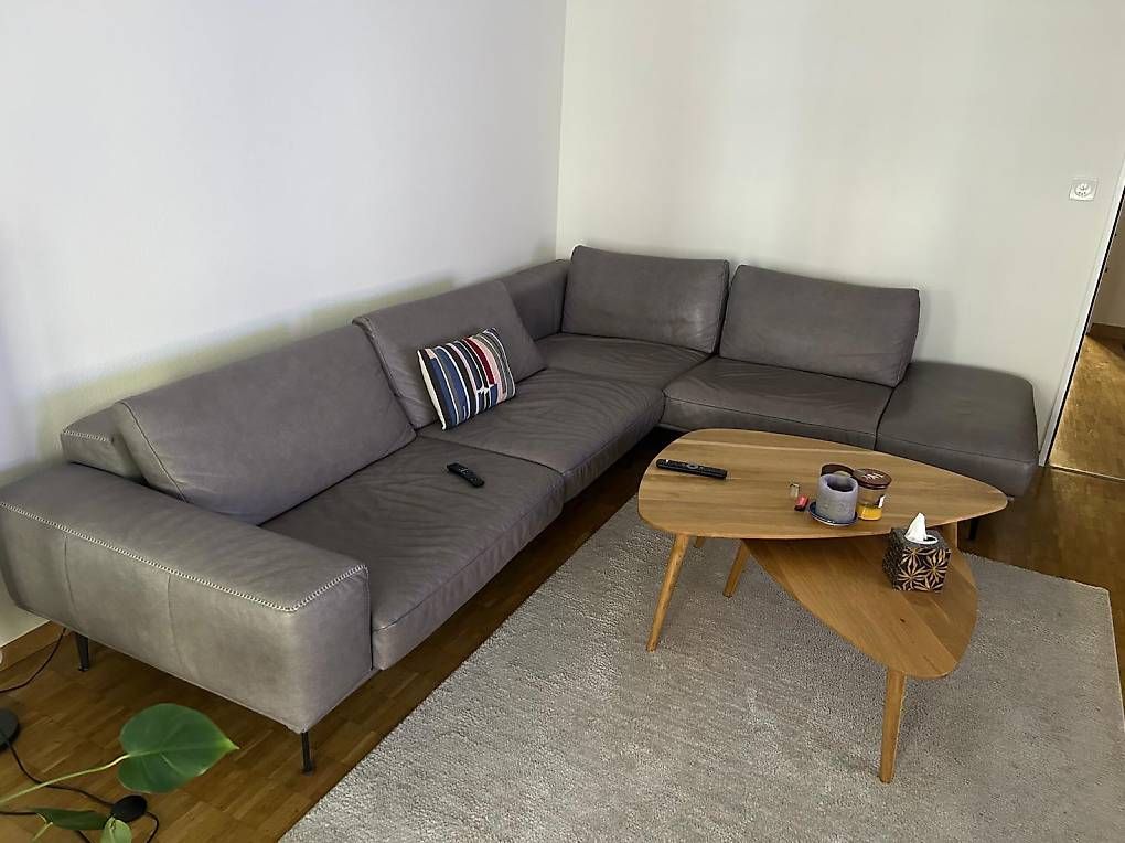 Sofas: Sofa von Willi Schillig – Gebraucht aus Basel von cla_f5hs
