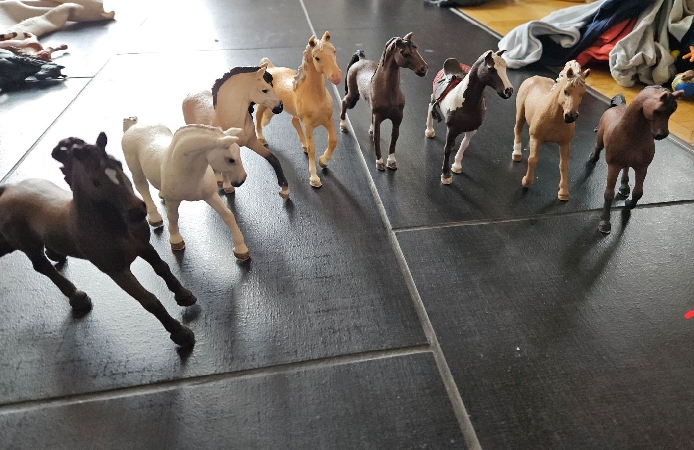Schleich Statuette: Schleich Pferde 8 Stück!! – Usato da Wilen b. Wil venduto da RamonaL
