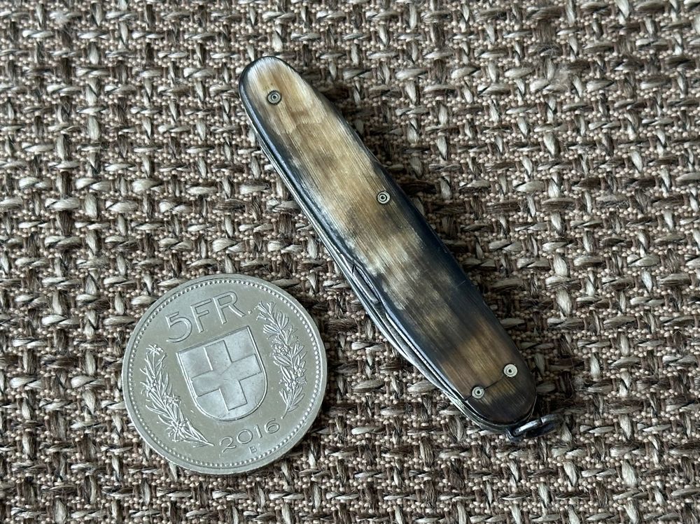 Kleines antikes Sackmesser mit Schere Horngriff RAR (Gebraucht) in ...