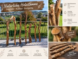 🌳 Naturbelassenes Obstbaumholz – verschiedene Stücke