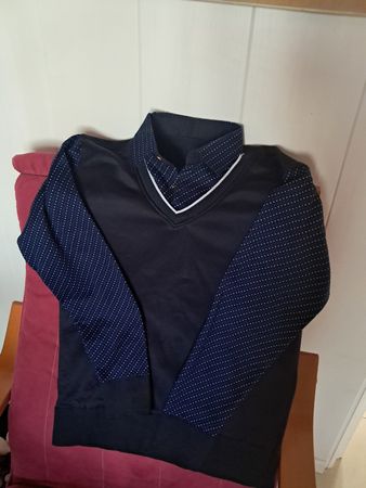 Elegante herren pullover