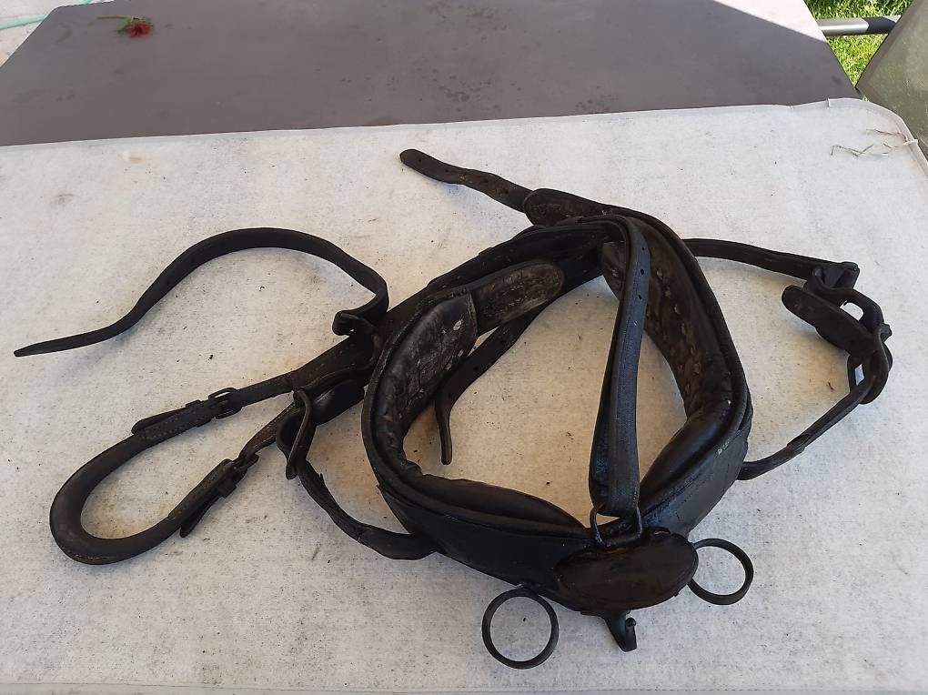 Altro in Accessori per animali: Rossgeschirr – Usato da Winden venduto da gagzi 1