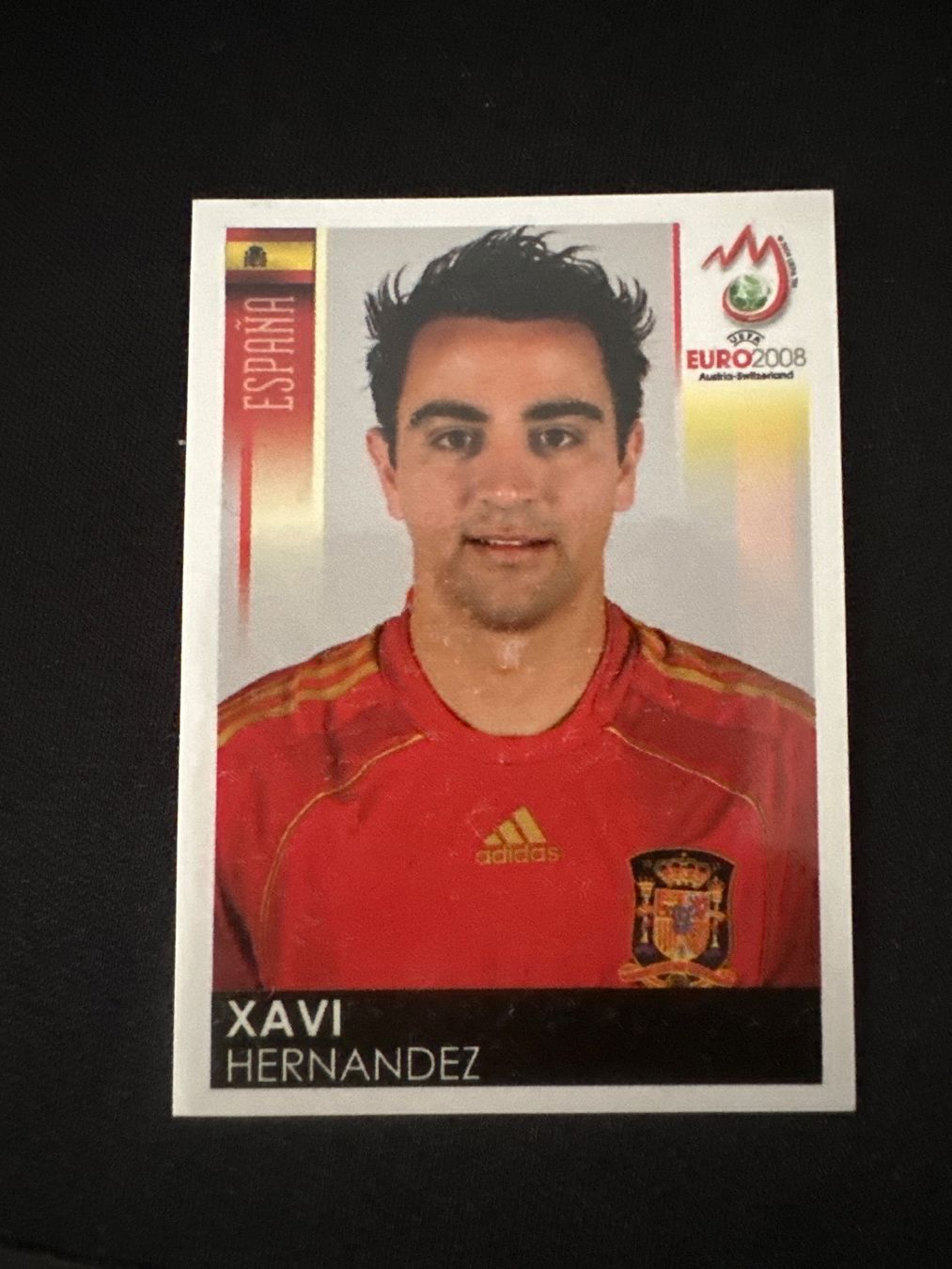 Panini Carte collezionabili: Panini UEFA EM 2008 Sticker - Nr. 424 – Usato da Sulz AG venduto da DealWerk