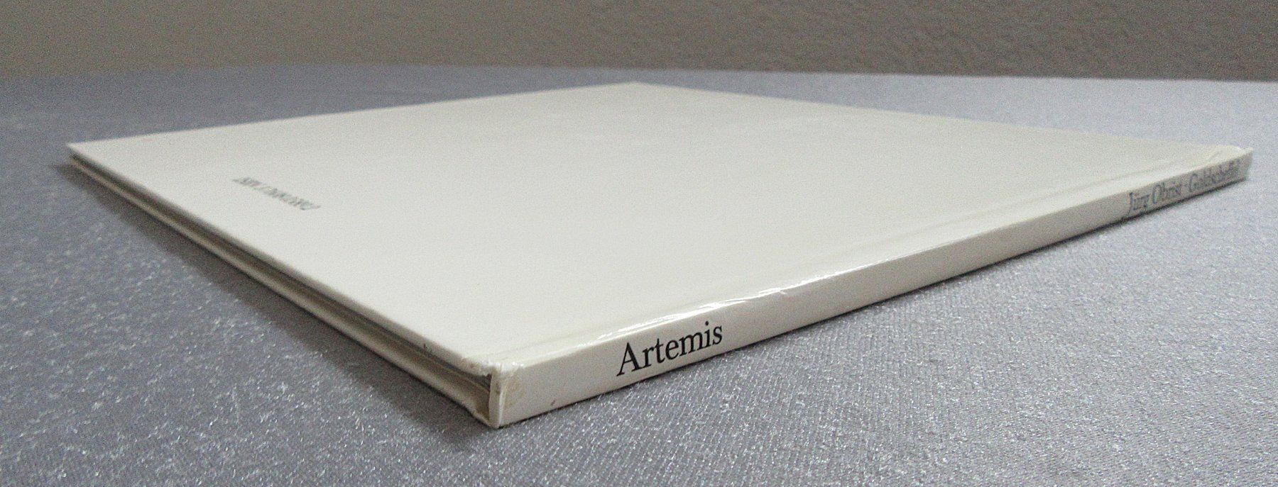 Libri: Goldscheffel - Eine Geschichte mit Bildern von Jürg Obrist – Usato da Auenstein venduto da Padabimbim 7