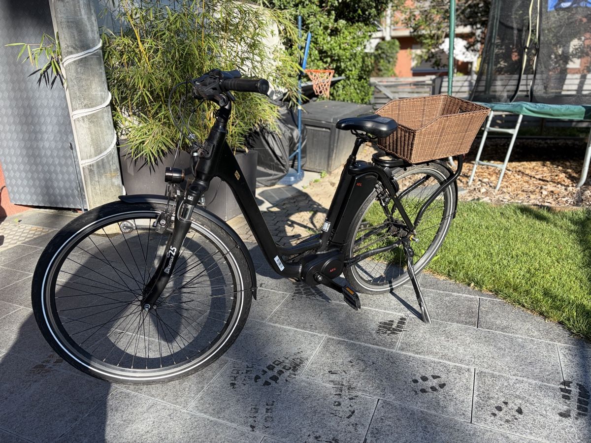 Vélos: Electric Prophete Geniesser e9.8 28"  – D'occasion à Thun par Saimen13