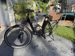 Electric Prophete Geniesser e9.8 28" 