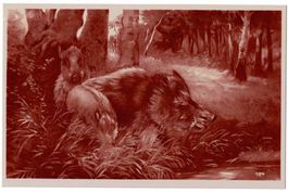 Jagdmotiv: Wildschweine im Wald
