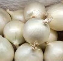 Ab 5.- fr 20 Samen RARE Weiße Zwiebel = ALLIUM CEPA